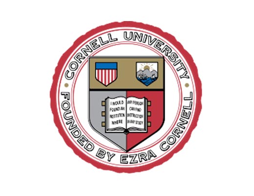 康奈尔大学